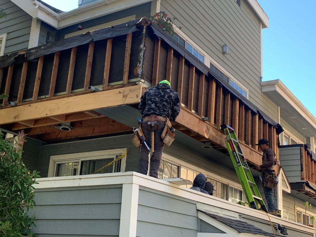 Food Factory Design and Construction